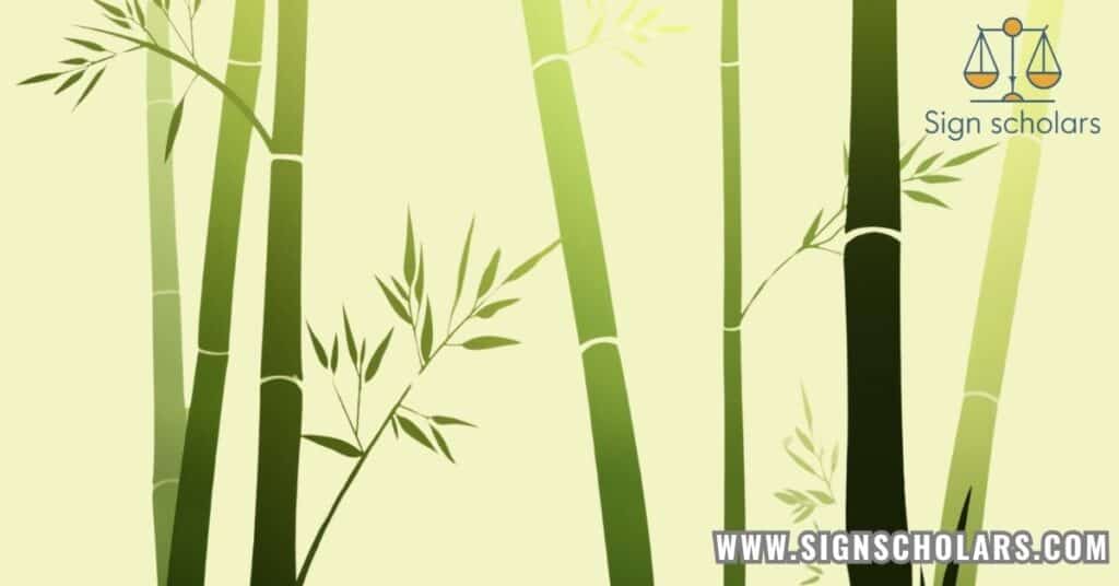 Bamboo