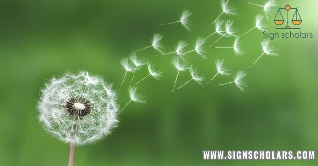 Dandelion Seeds Blowing in the Wind