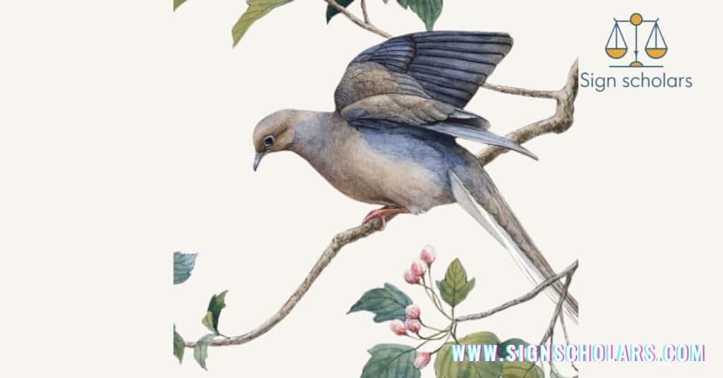 Mourning Dove Meaning