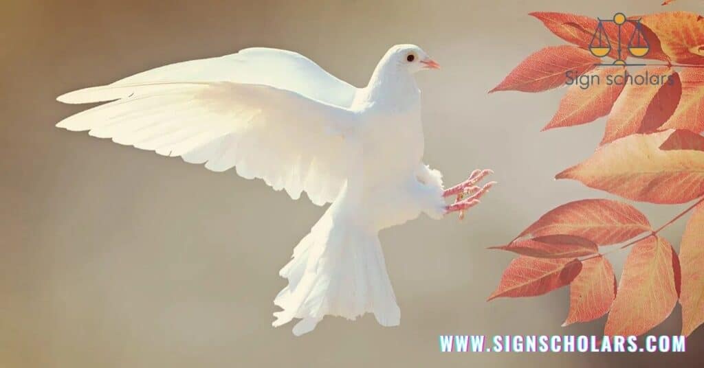 White Dove