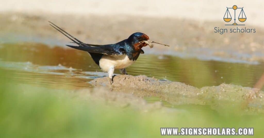 What is the Spiritual Meaning of Finding a Dead Bird?