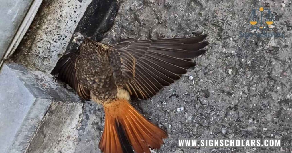 What is the symbolic meaning of a dead bird on the porch?