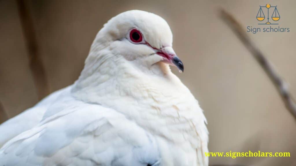 1. The White Dove: Messenger of Peace and Purity