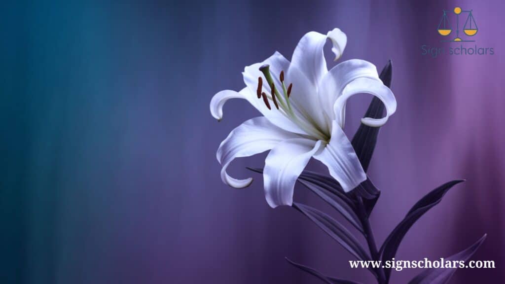 5. White Lily: Divine Purity