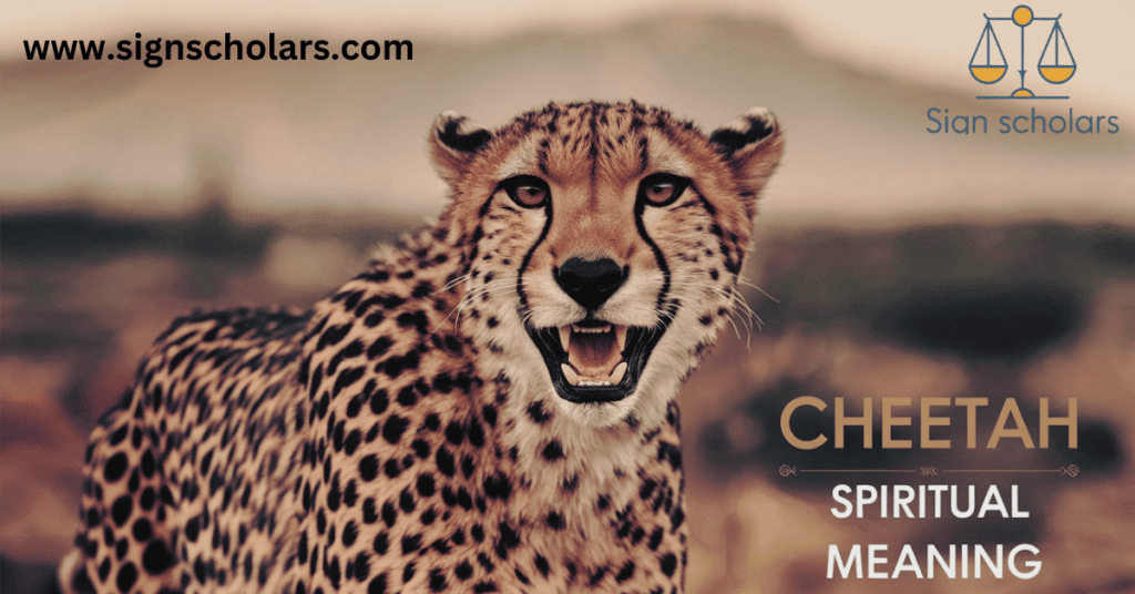 Cheetah Spiritual Meaning