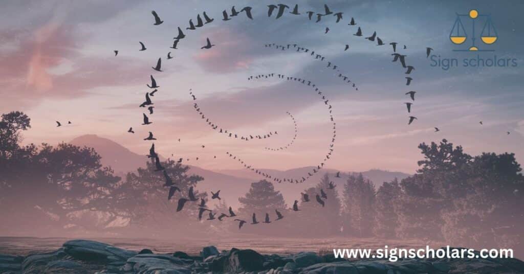 Birds Flying in Circle