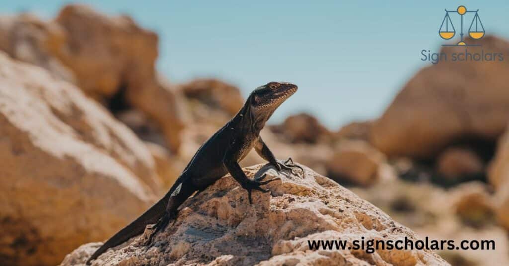 Black Lizard Spiritual Meanings and Symbolism