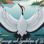 Symbolism of White Crane