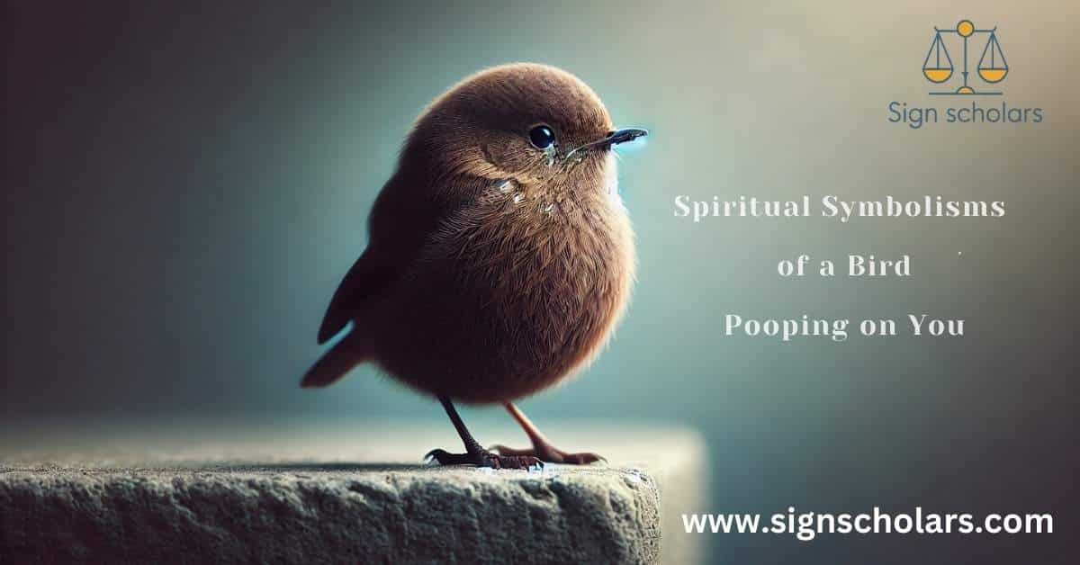 Spiritual Symbolisms of a Bird Pooping on You