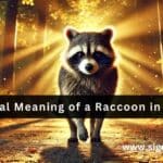 Raccoon in Your Path