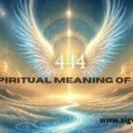 Spiritual Meaning of 444