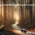 Spiritual Meaning Possum