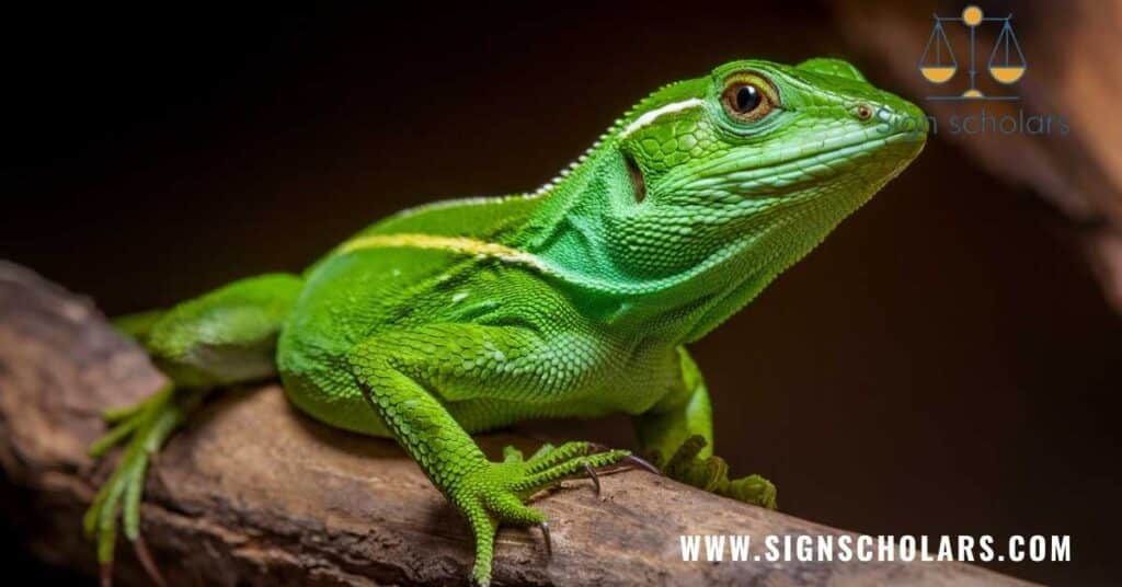 Green Anole Symbolism and Meaning