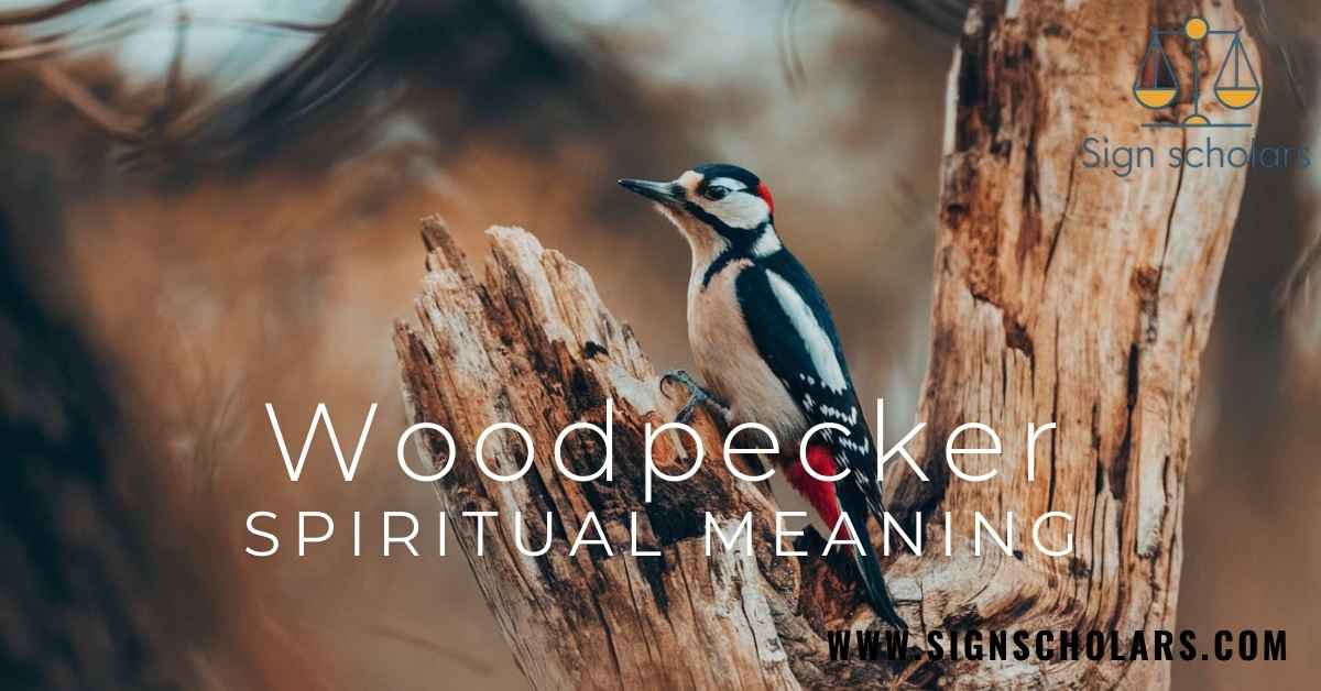 woodpecker spiritual meaning