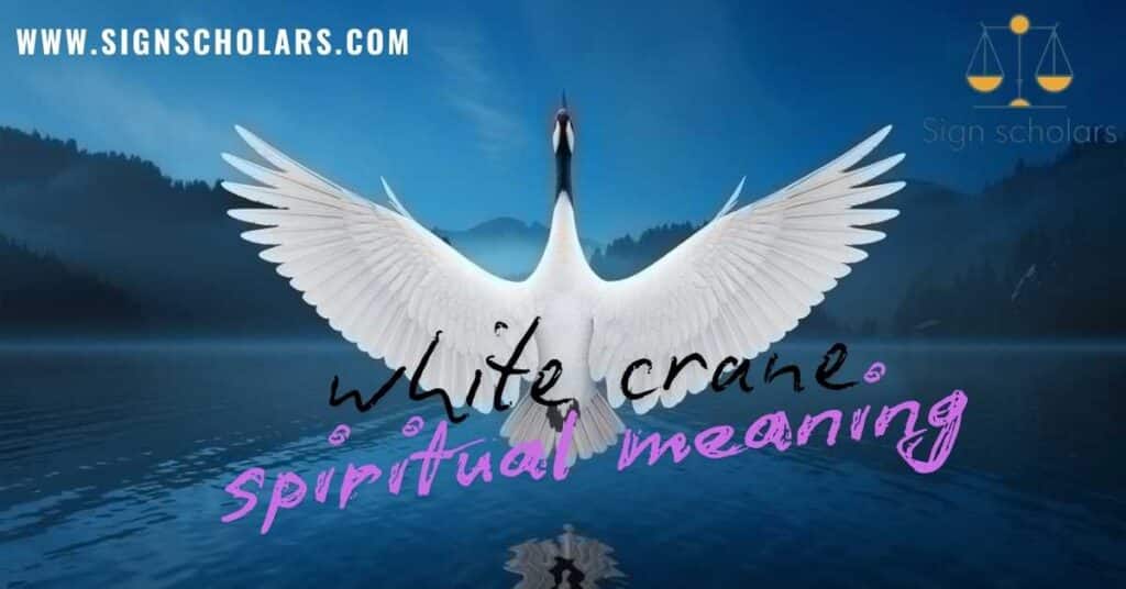 white crane spiritual meaning